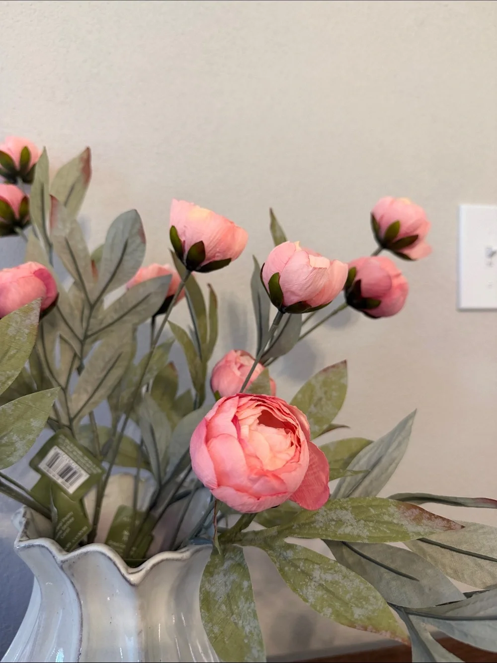 (4) NWT Dried Coral Peony Stems by Ashland